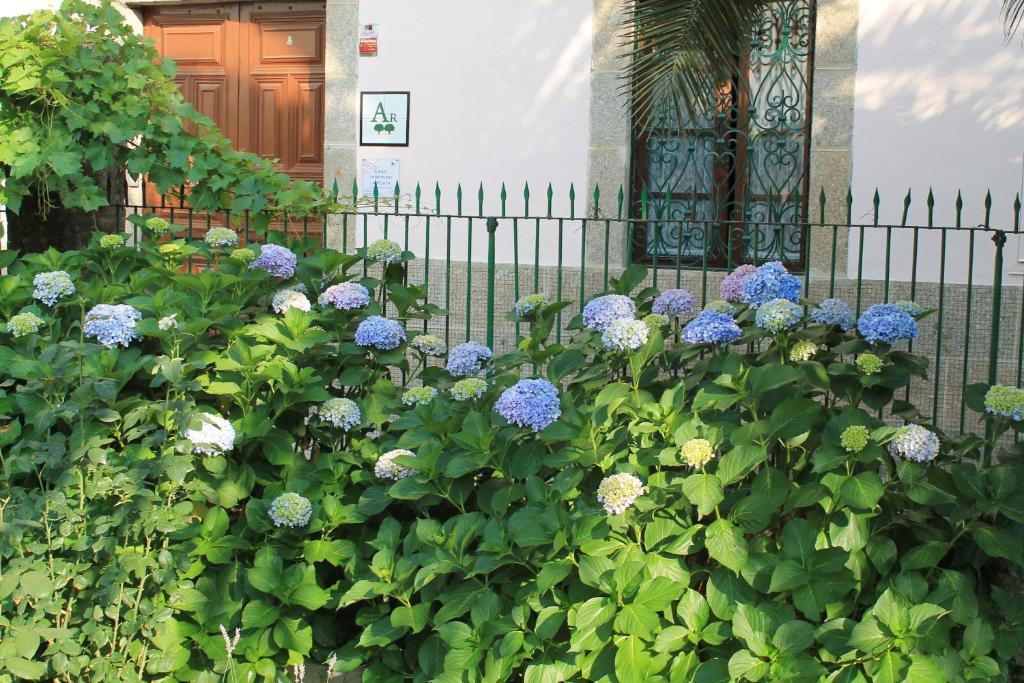 Ferienwohnung Casa Jardin De La Plata Banos De Montemayor Exterior foto